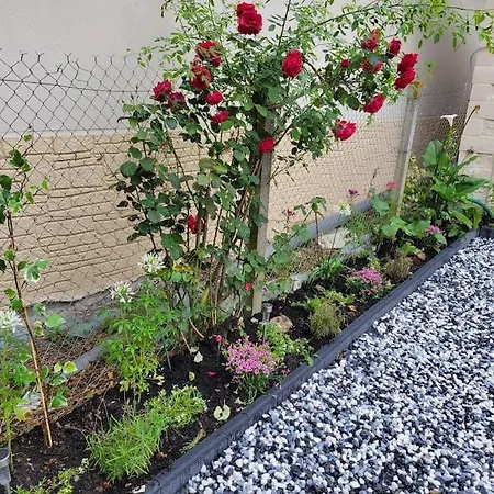 Maison Proche De Honfleur, Cote Fleurie *